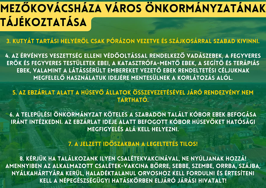ebzarlat 250325 1