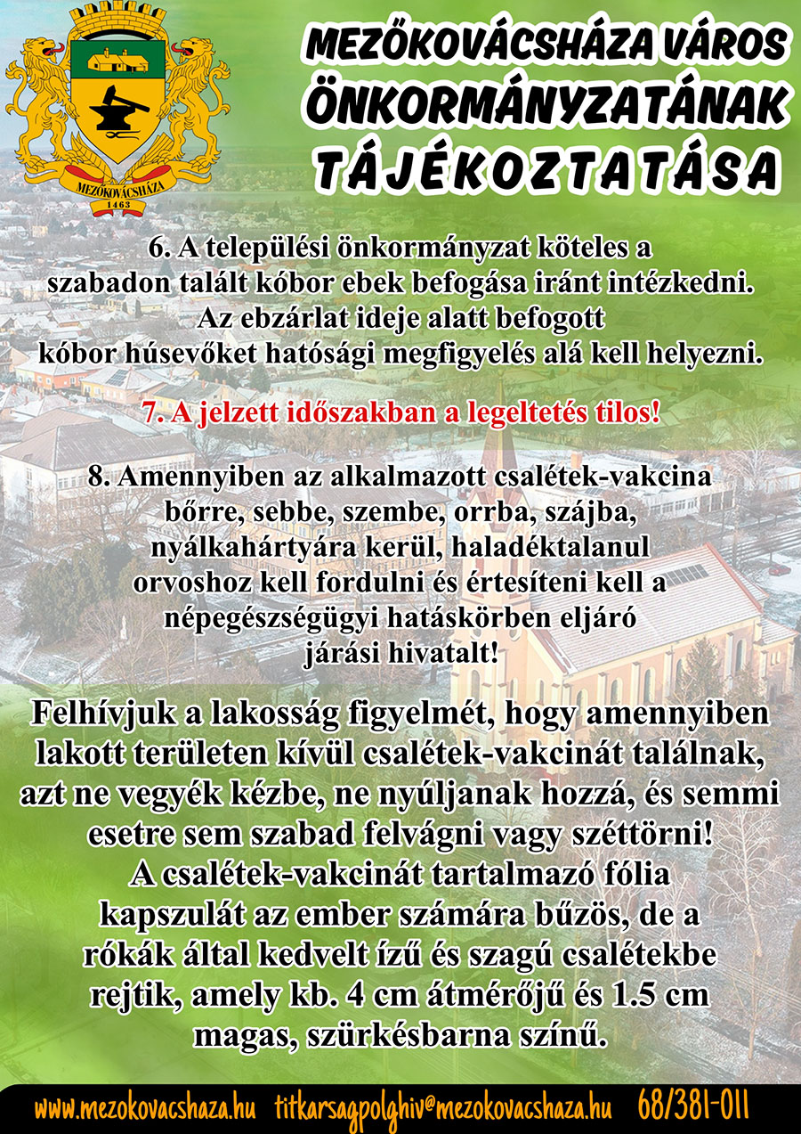 ebzarlat 251003 1